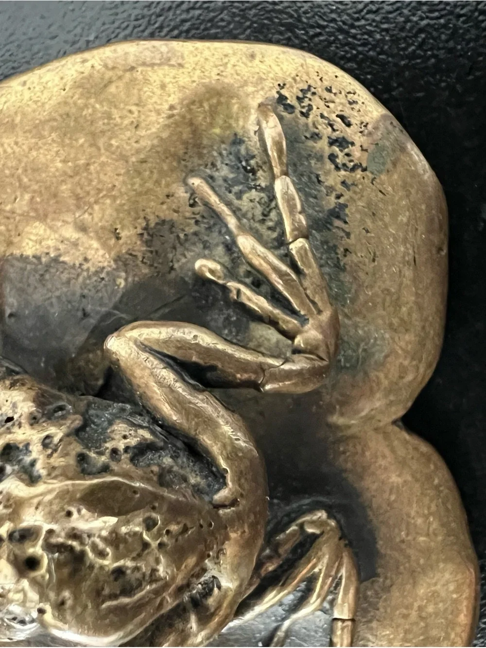 Vintage Carl Tasha Frog Brass Belt Buckle | Limited Edition #710/1000 | Signed